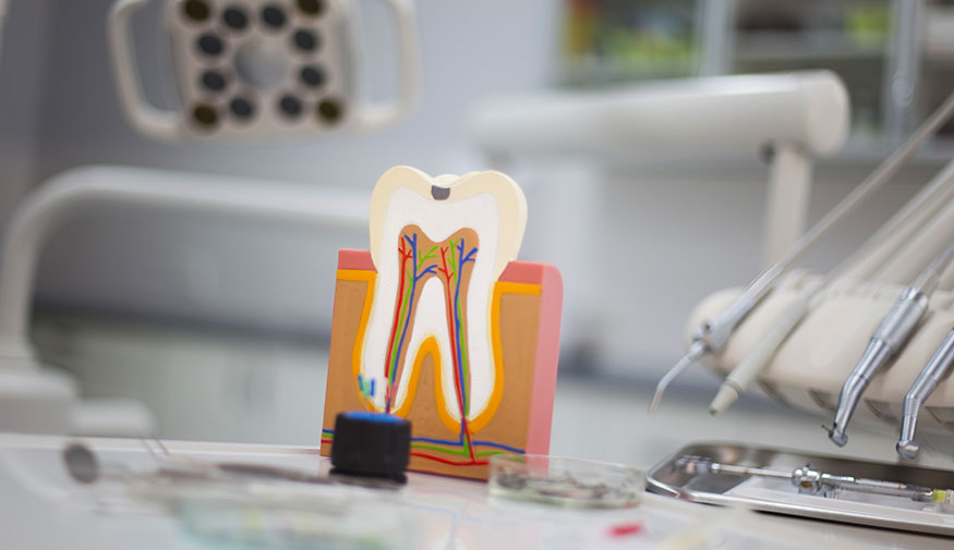 Picture of a tooth